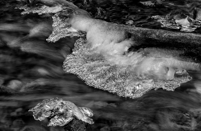 Wakeena Creek Ice 13-3564 bw.jpg